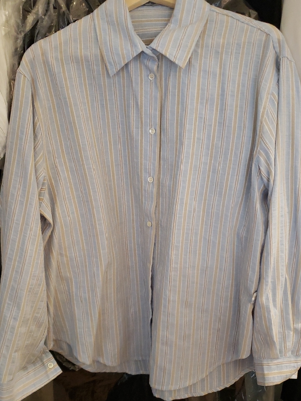 Like New Classic Light Blue and Beige Stripe Women's Button-Up Shirt
